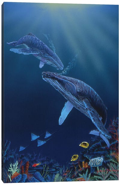 Blue Silence Canvas Art Print - Dolphin Art
