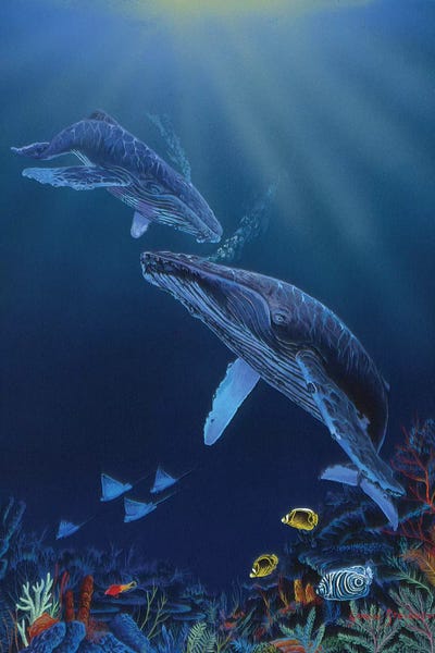 Dolphins: Blue Silence by Graeme Stevenson