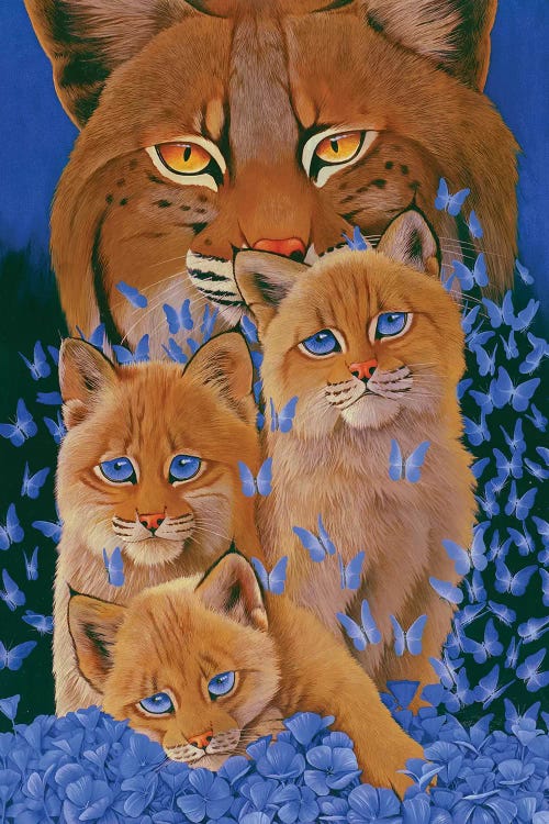 Bobcat Kittens