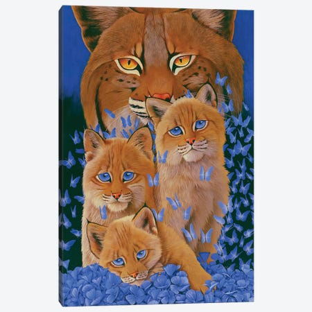 Bobcat Kittens Canvas Print #GST133} by Graeme Stevenson Art Print