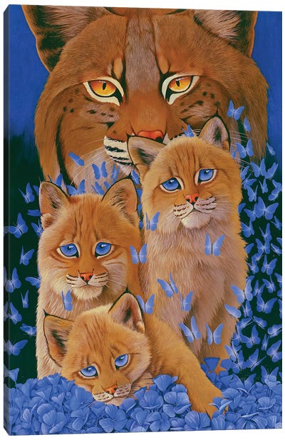 Bobcat Kittens Canvas Art Print - Kitten Art