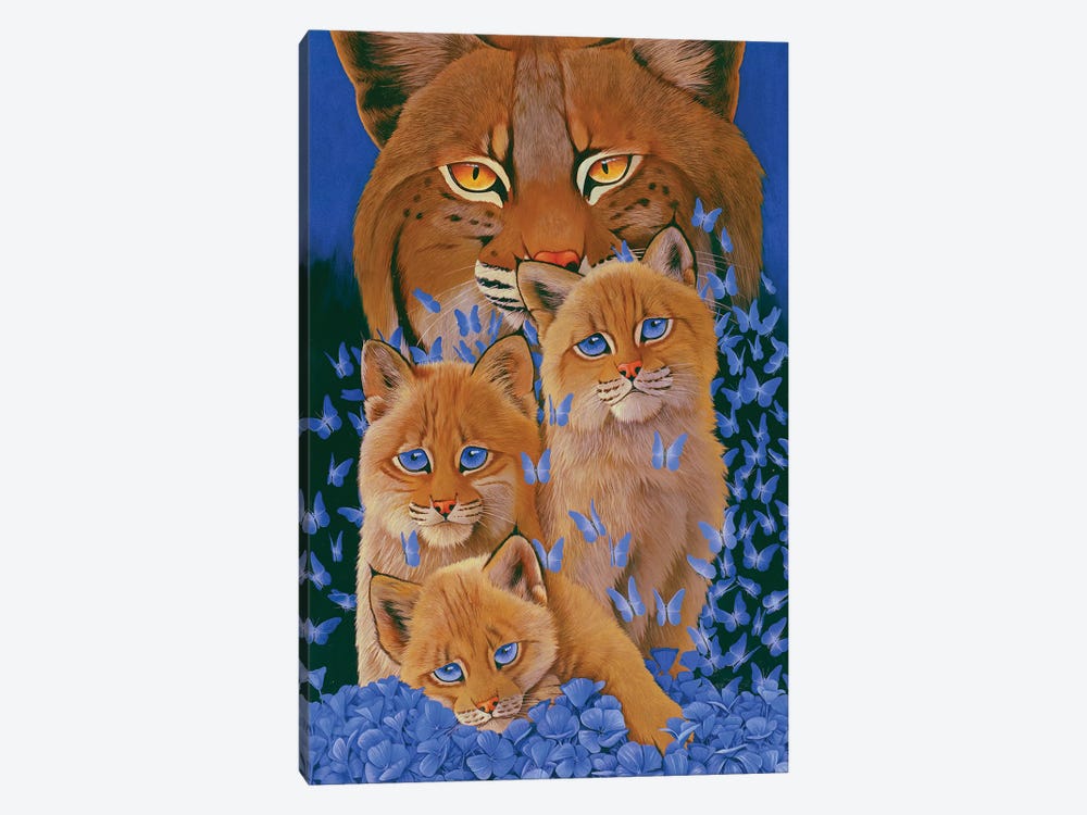 Bobcat Kittens by Graeme Stevenson 1-piece Art Print