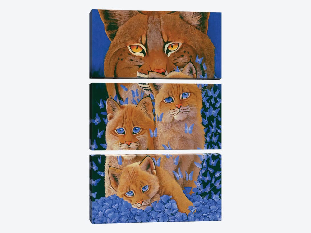 Bobcat Kittens by Graeme Stevenson 3-piece Canvas Art Print