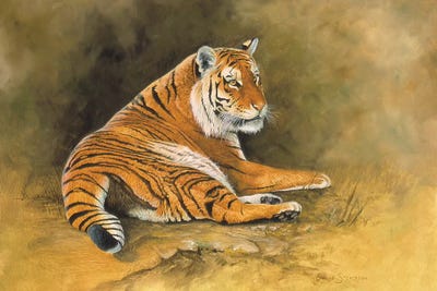 Burning Bright by Graeme Stevenson framed wall art