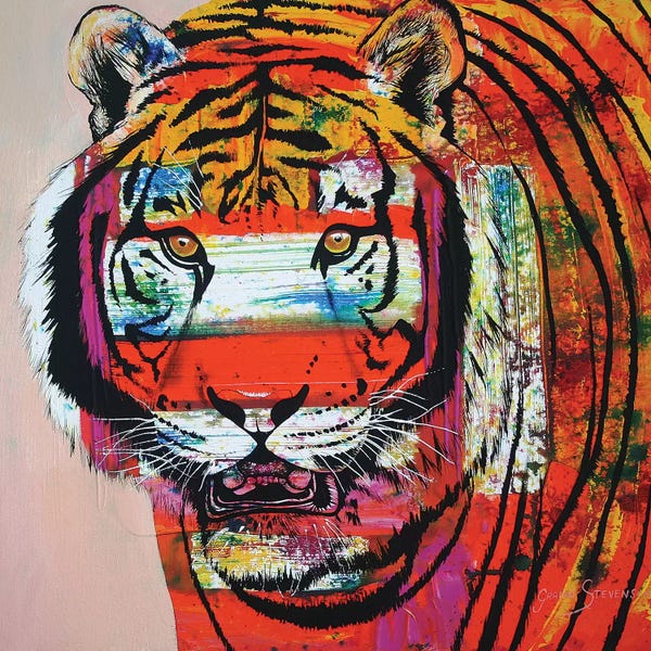 Tigers: Burning Bright Eyes by Graeme Stevenson