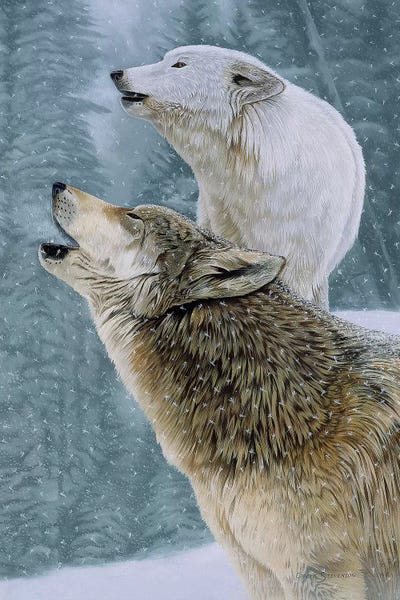 Call Of The Wild