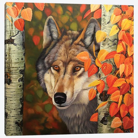 Colours Of The Wolf Canvas Print #GST144} by Graeme Stevenson Canvas Art Print