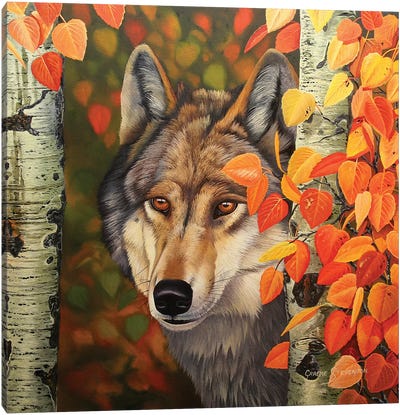 Colours Of The Wolf Canvas Art Print - Graeme Stevenson