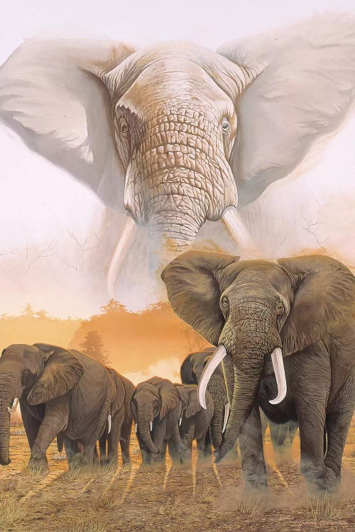 Confrontation by Graeme Stevenson wall art