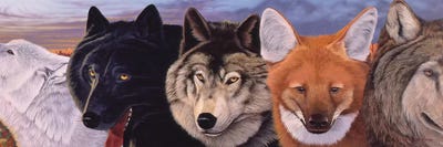 Connections II by Graeme Stevenson multi panel art