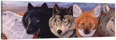 Connections II Canvas Art Print - Wolf Art