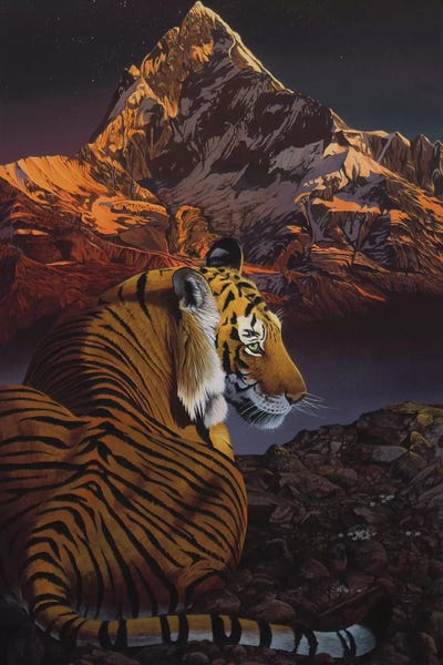 Cosmic Tiger by Graeme Stevenson framed wall art