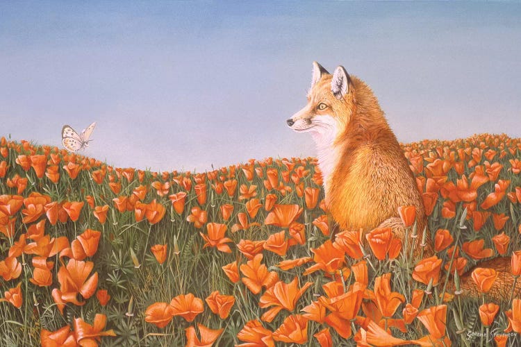 Curious Petals