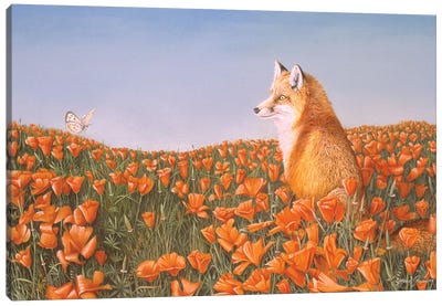 Curious Petals Canvas Art Print - Fox Art