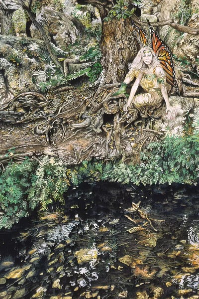 Diana by Graeme Stevenson framed wall art