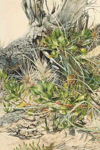 Down At The Beach by Graeme Stevenson framed wall art