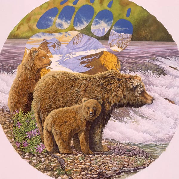 Brown Bears: Down At The Stream by Graeme Stevenson