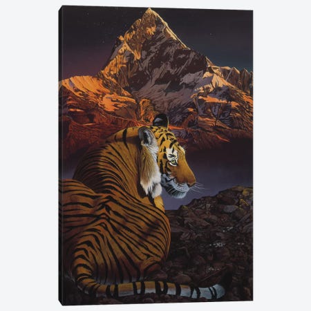 Cosmic Tiger Canvas Print #GST15} by Graeme Stevenson Canvas Artwork