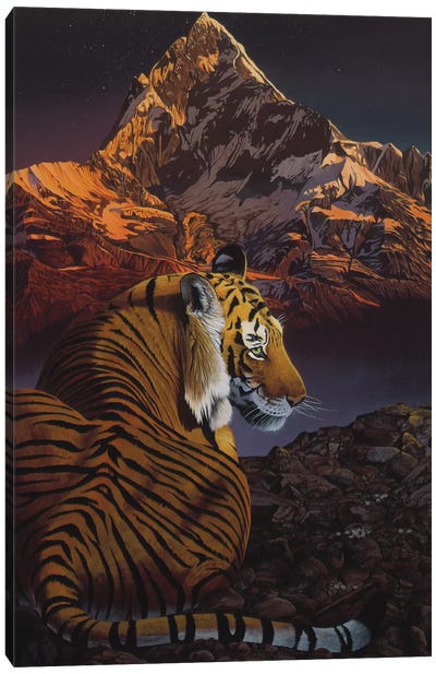 Cosmic Tiger Canvas Art Print - Graeme Stevenson