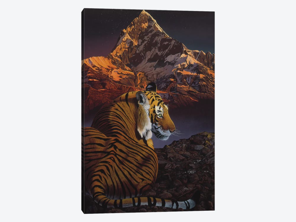 Cosmic Tiger by Graeme Stevenson 1-piece Canvas Art Print
