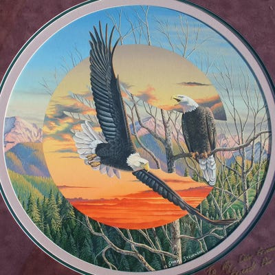 Eagles by Graeme Stevenson framed wall art