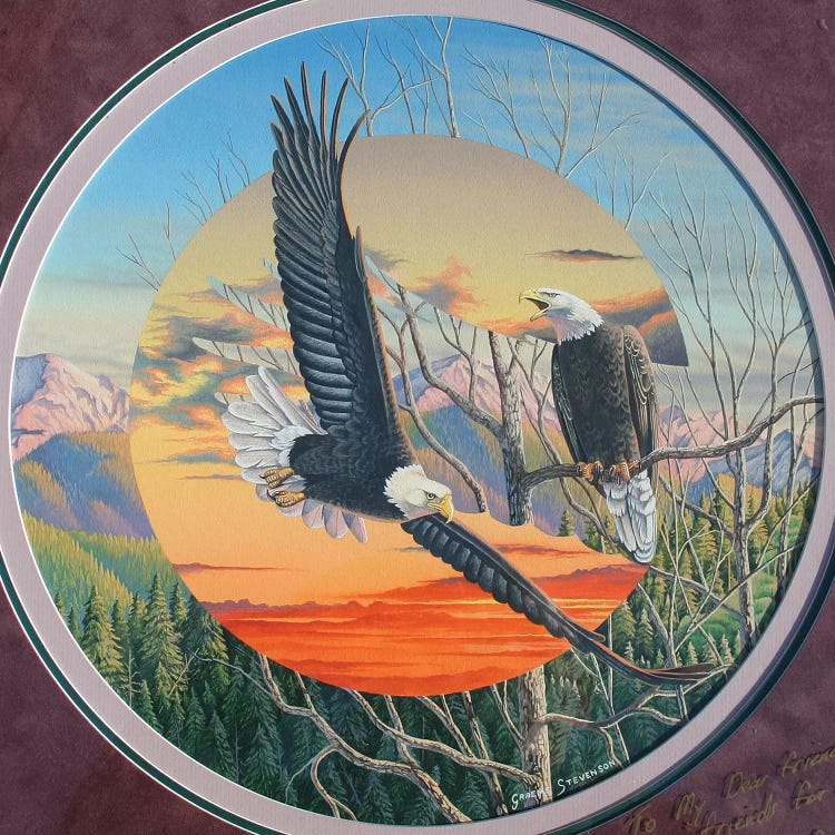 Eagles by Graeme Stevenson wall art