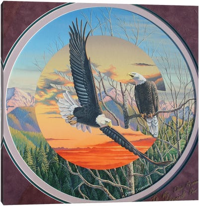 Eagles Canvas Art Print - Graeme Stevenson