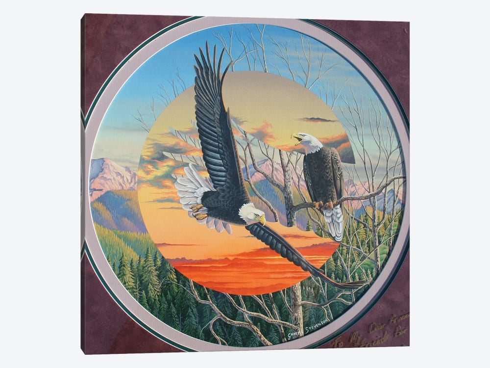 Eagles by Graeme Stevenson 1-piece Canvas Wall Art