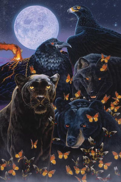 Cougars: Ebony by Graeme Stevenson