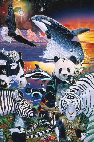 Pandas: Ebony And Ivory by Graeme Stevenson