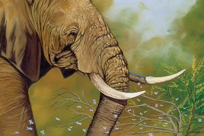 Elephant Days by Graeme Stevenson framed wall art