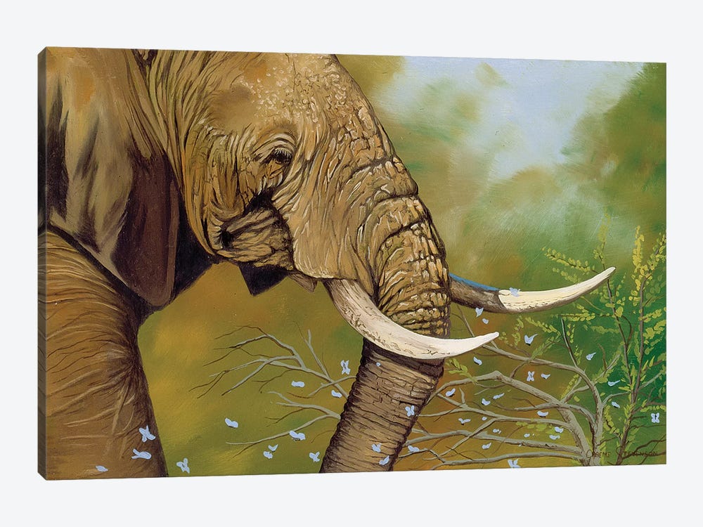 Elephant Days by Graeme Stevenson 1-piece Canvas Art
