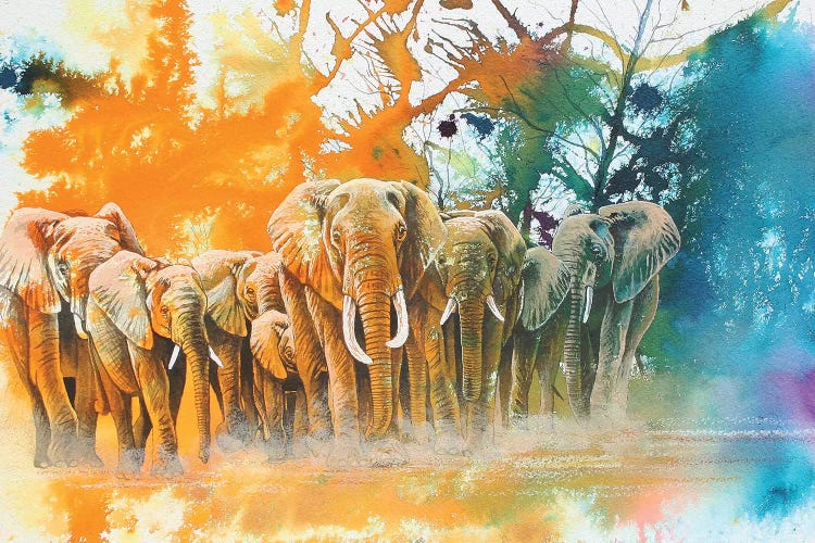 Elephant Tribe