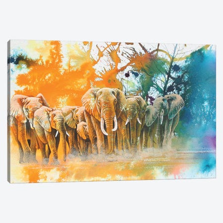 Elephant Tribe Canvas Print #GST170} by Graeme Stevenson Canvas Art Print