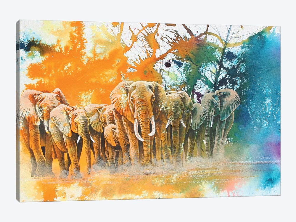 Elephant Tribe by Graeme Stevenson 1-piece Canvas Wall Art