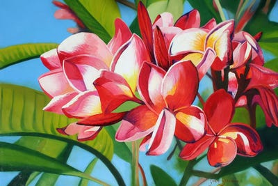 Flowers by Graeme Stevenson framed wall art