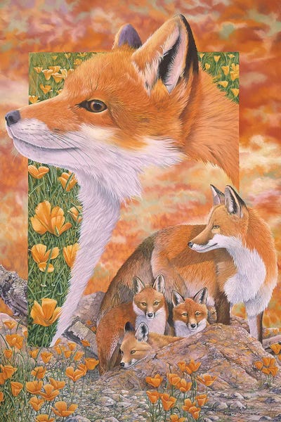 Foxes by Graeme Stevenson framed wall art