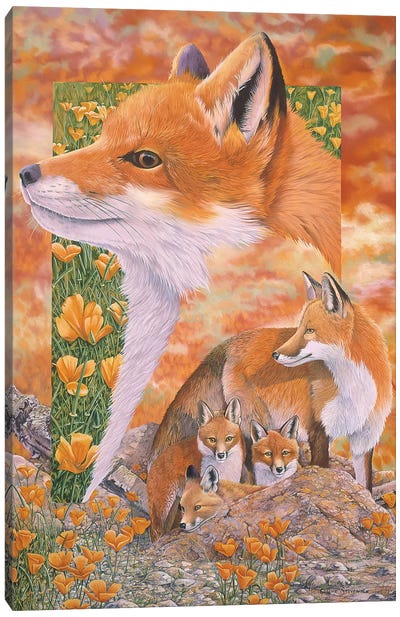 Foxes Canvas Art Print - Graeme Stevenson