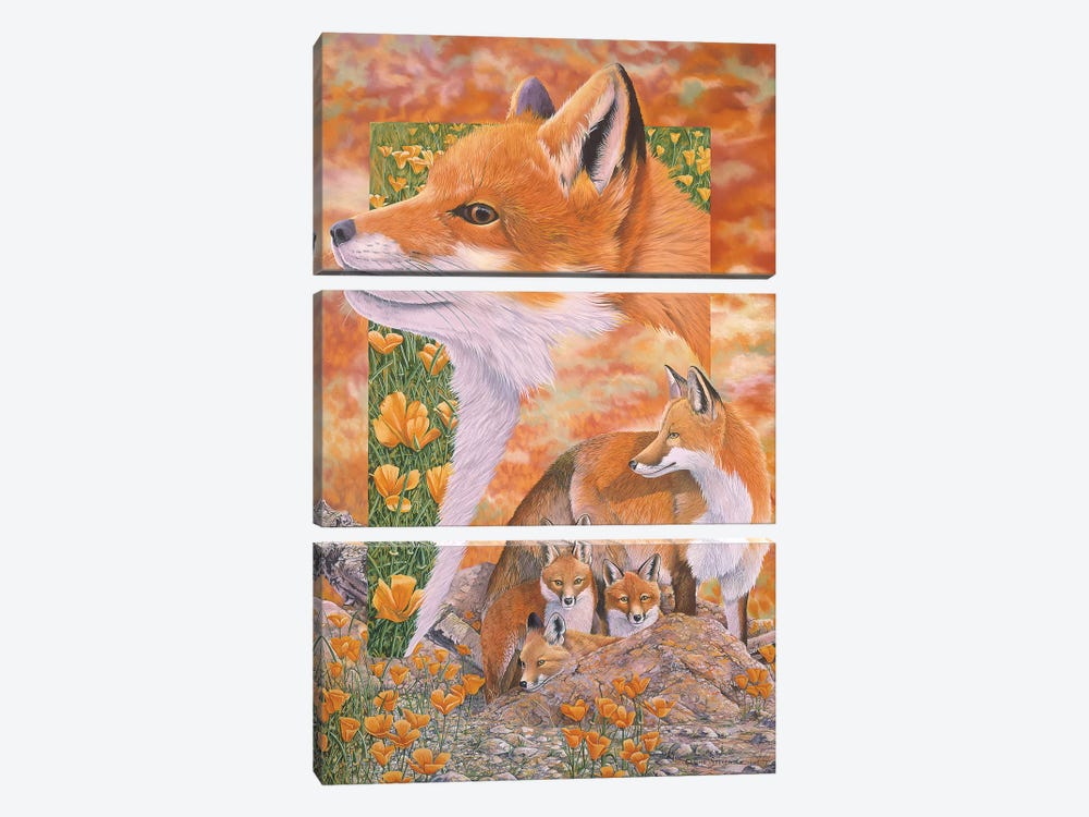 Foxes by Graeme Stevenson 3-piece Art Print