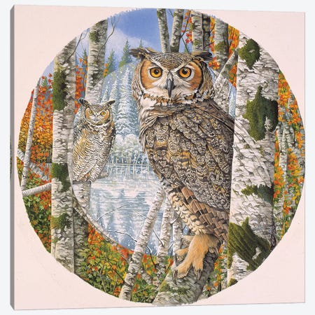 Great Horned Camoflage Canvas Print #GST181} by Graeme Stevenson Canvas Wall Art