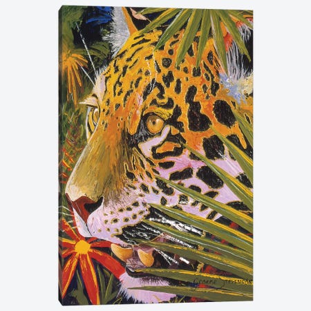 Jaguar Jungle Canvas Print #GST193} by Graeme Stevenson Canvas Print