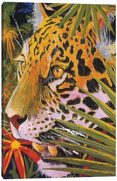 Jaguar Jungle Canvas Art Print - Graeme Stevenson