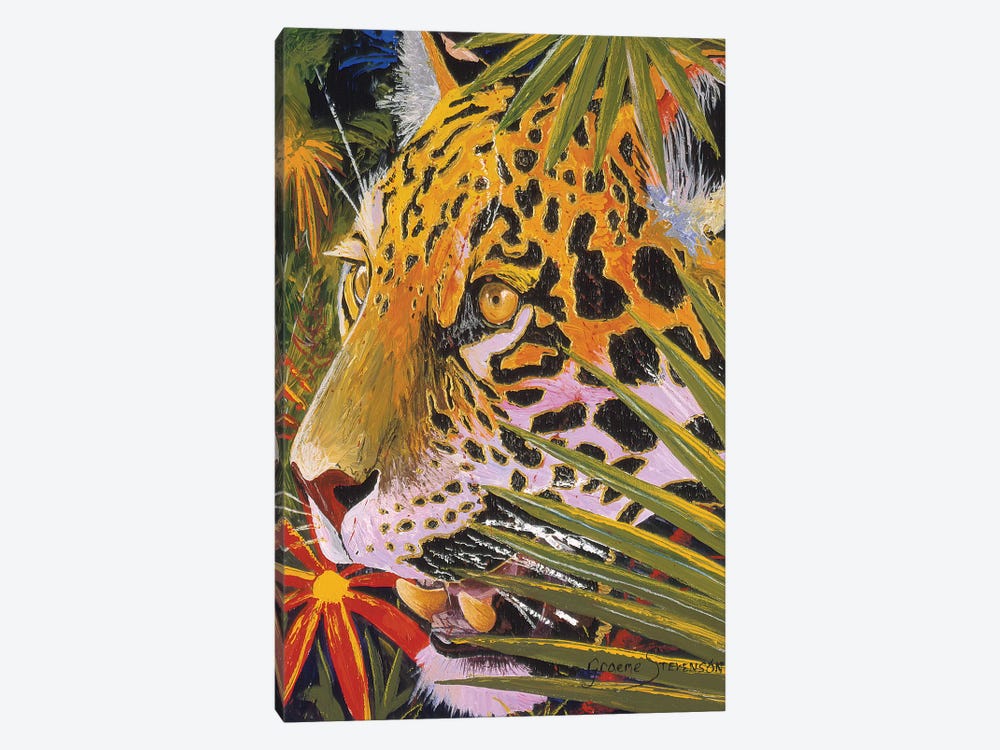 Jaguar Jungle by Graeme Stevenson 1-piece Canvas Art Print