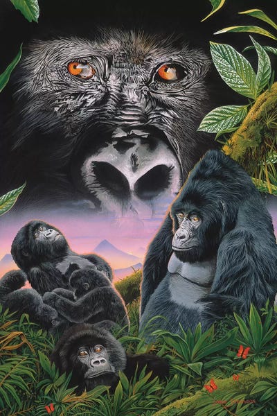Primates: Just Like You by Graeme Stevenson