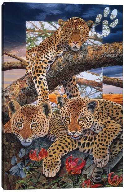 A Mother's Dream Canvas Art Print - Cheetah Art