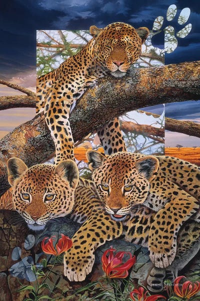 Cheetahs: A Mother's Dream by Graeme Stevenson