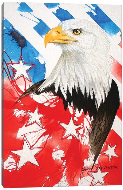 Liberty Canvas Art Print - Graeme Stevenson