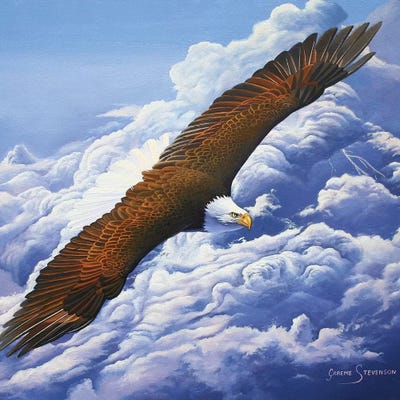 Lifted To The Sky by Graeme Stevenson framed wall art