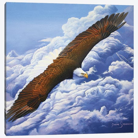 Lifted To The Sky Canvas Print #GST205} by Graeme Stevenson Canvas Art