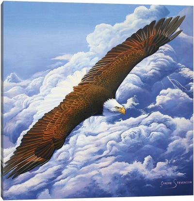 Lifted To The Sky Canvas Art Print - Graeme Stevenson